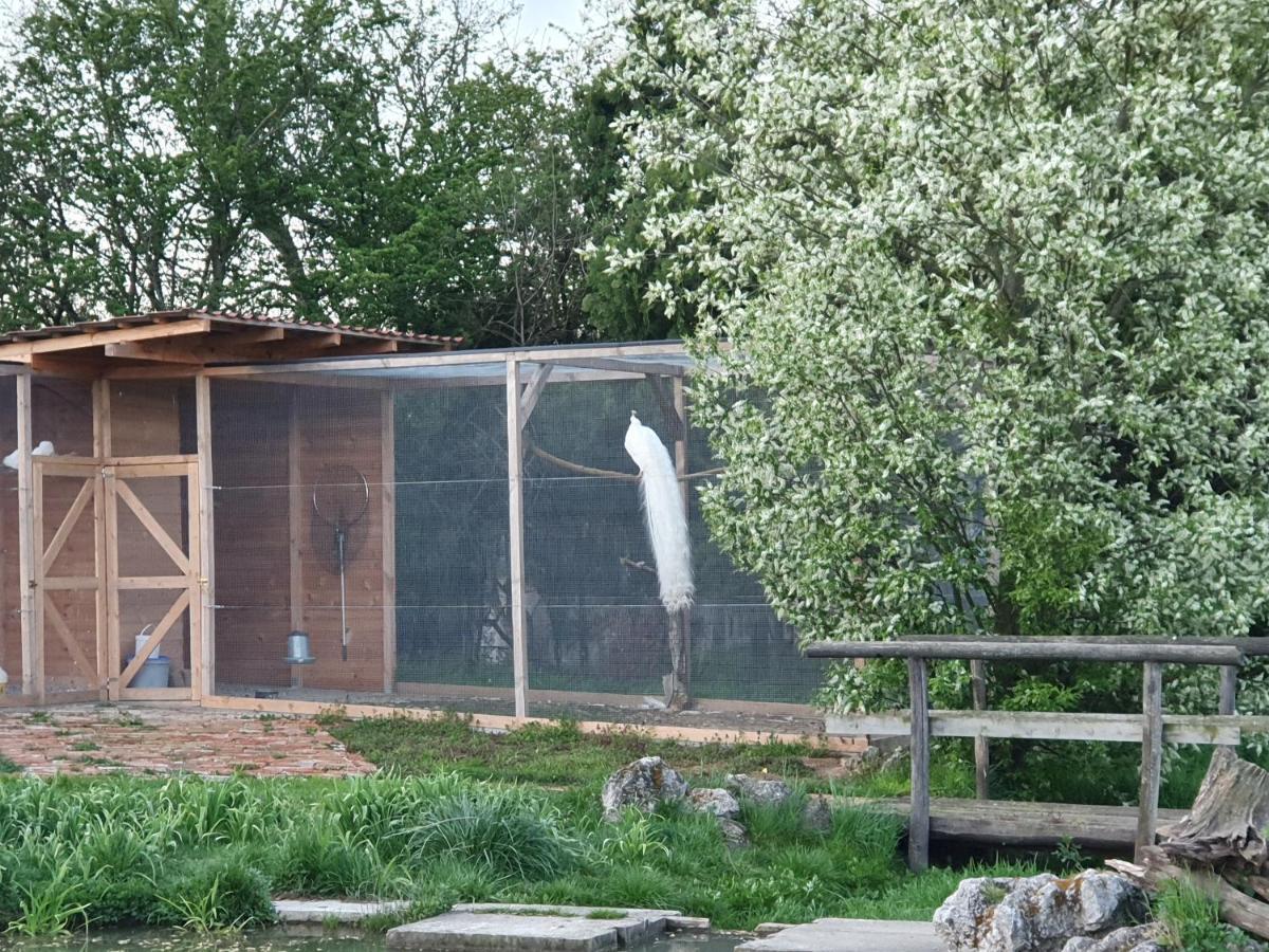 Zabokreky Nad Nitrou U Durkovych旅馆 外观 照片